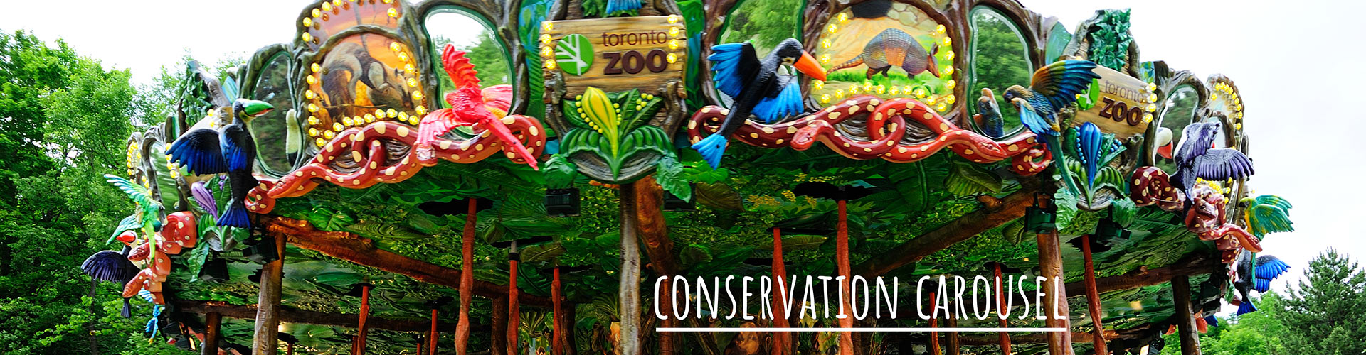 Conservation Carousel