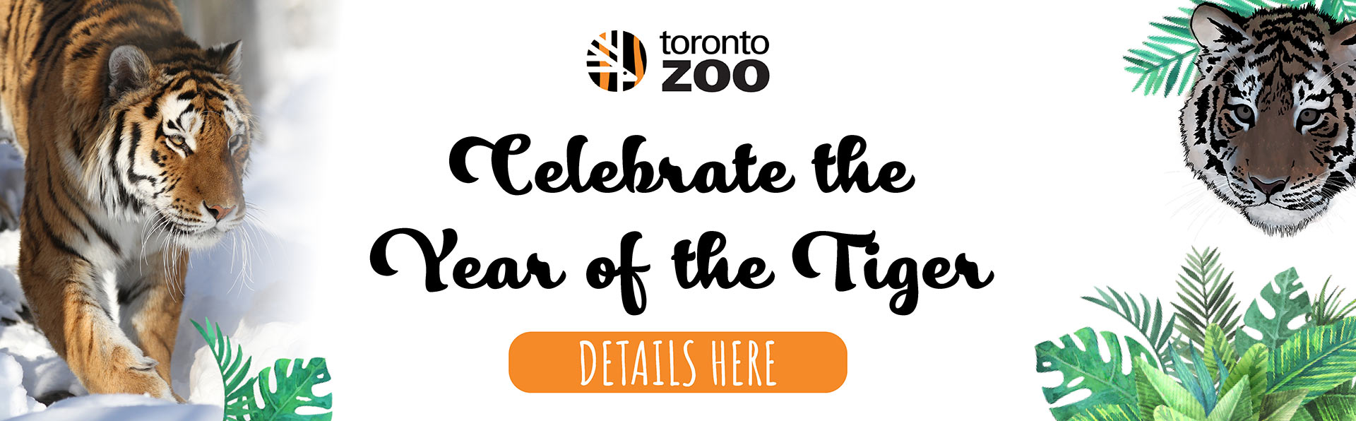 Celebrate the Year of the Tiger