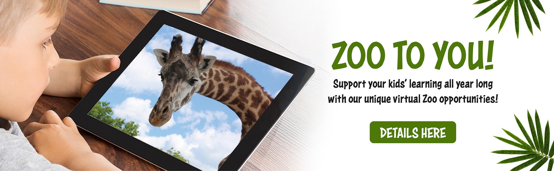 Bringing your Toronto Zoo to you