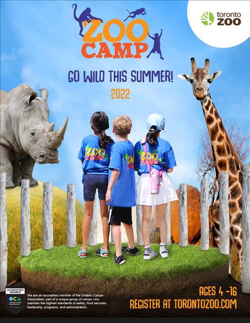 Button: links to Zoo Camp brochure