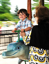 Conservation Carousel