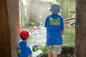 Zoo Camp kids at the Toronto Zoo