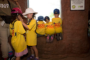Zoo Camp kids at the Toronto Zoo